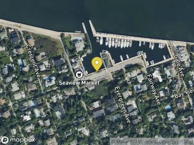 Mapbox static image showing location at 40.648605210662765, -73.1505525077047